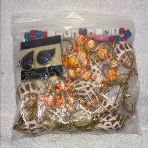 Shells Beads Brooch Earrings